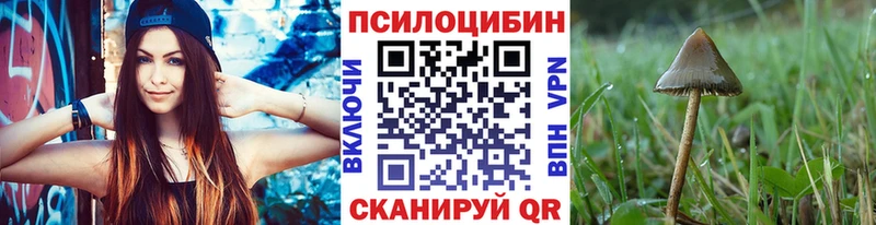 Псилоцибиновые грибы MAGIC MUSHROOMS  Калтан 