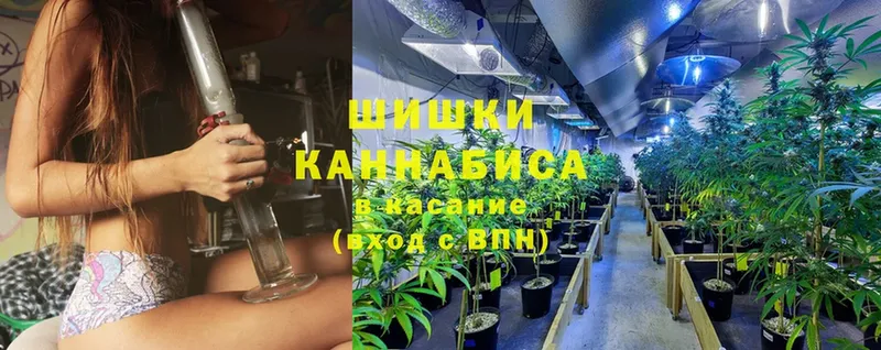 Конопля Ganja  цены наркотик  Калтан 